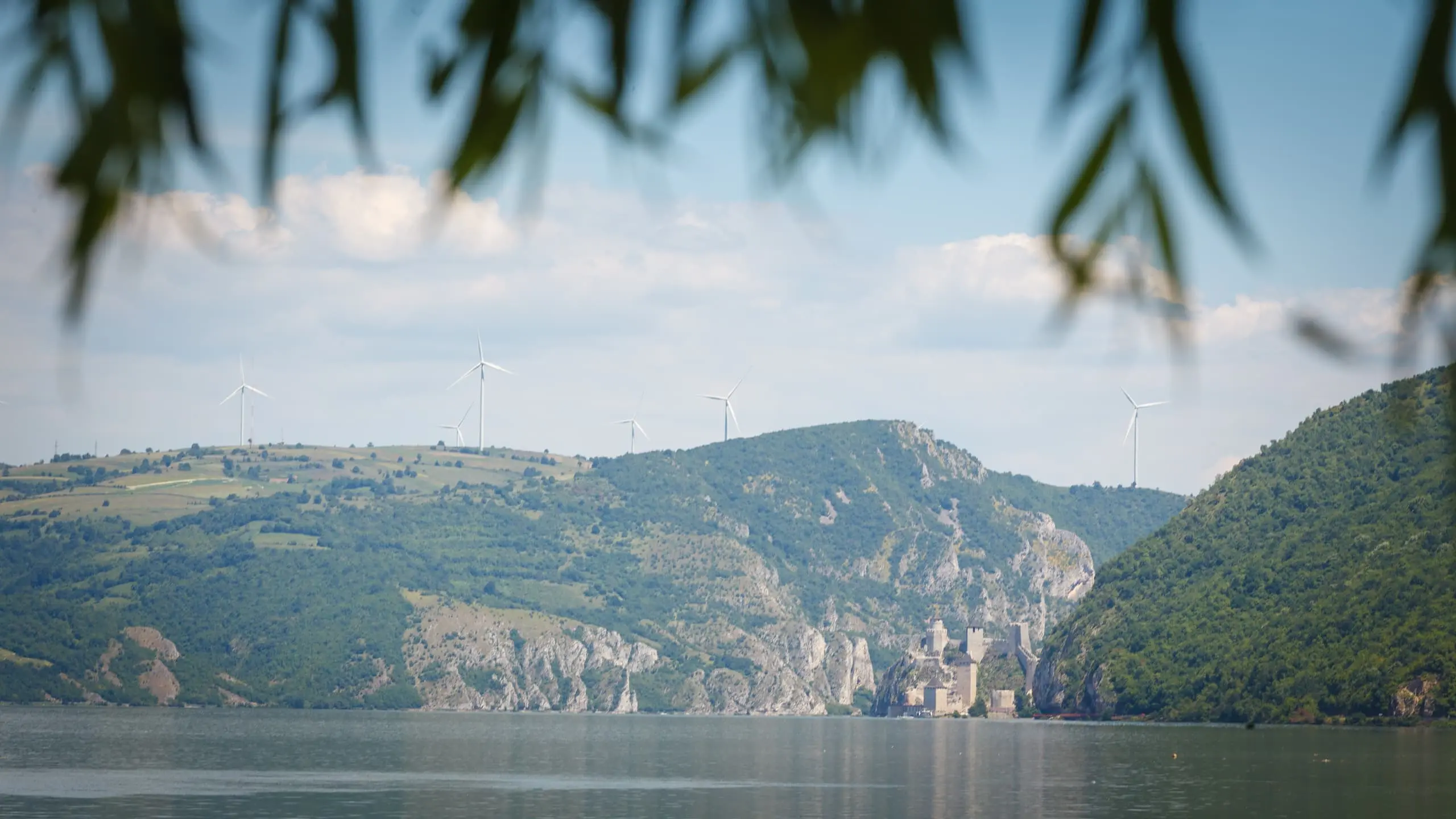 Restoran Nana Golubac - Dunav